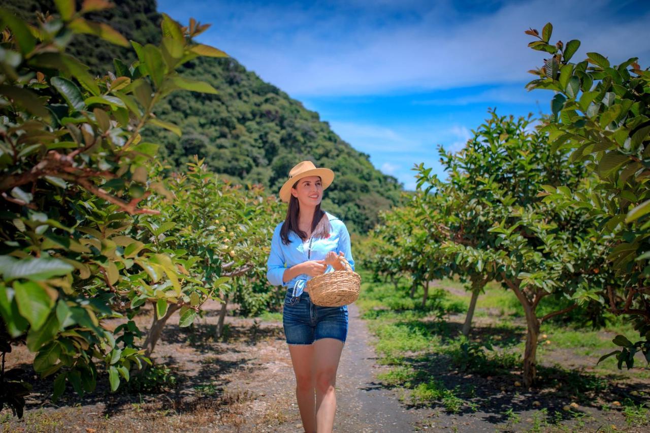 Jala Nukari Quinta Boutique酒店 外观 照片